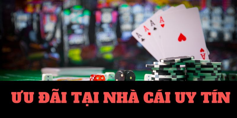 12fun-Bắt đầu hành trình với trang cược xanh chín ngay bây giờ!